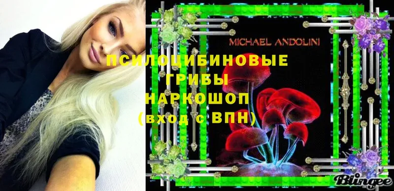 Псилоцибиновые грибы Magic Shrooms  закладки  OMG как зайти  Борисоглебск 